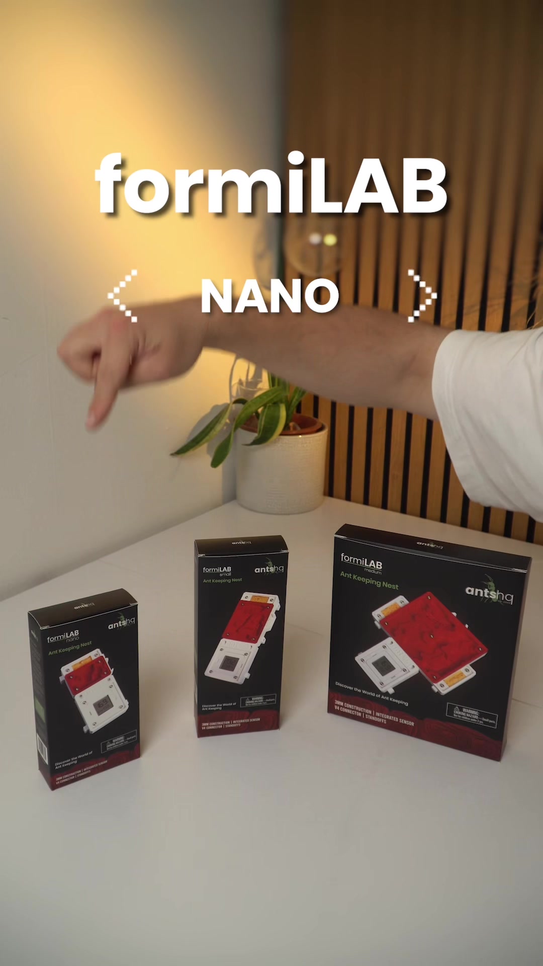 @antshq
