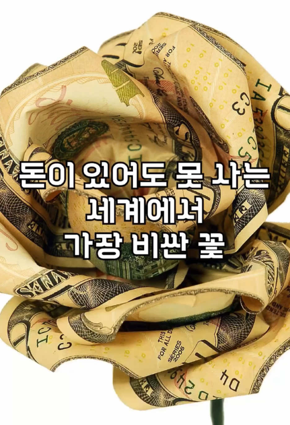 @꿀잼교실