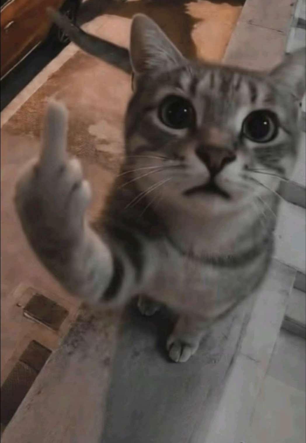 @kate