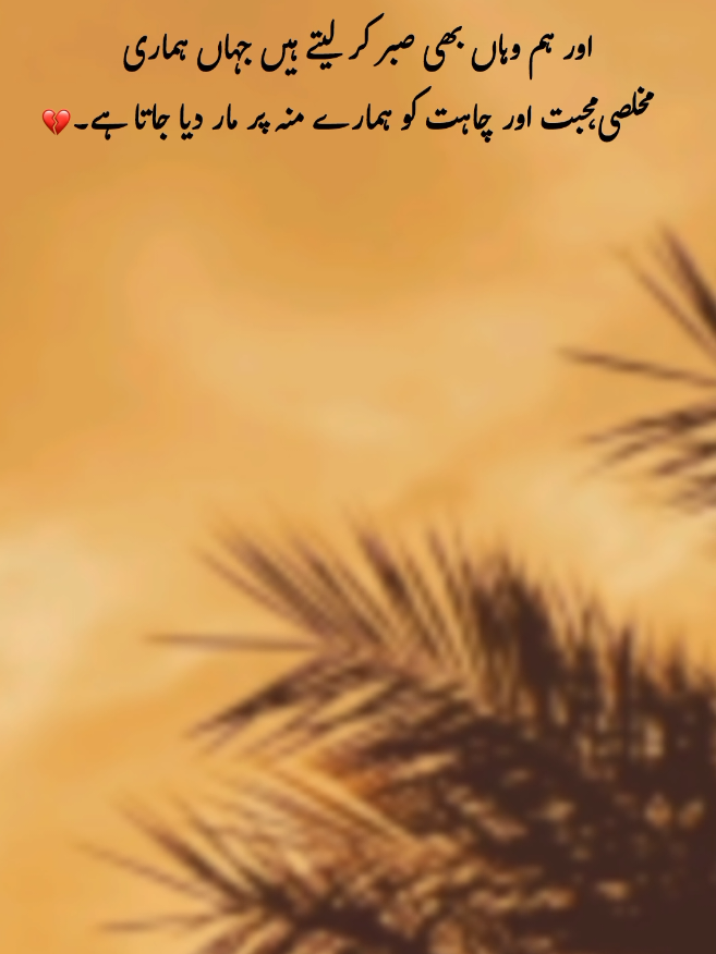 @𓆩PeaceWithin islam𓆪