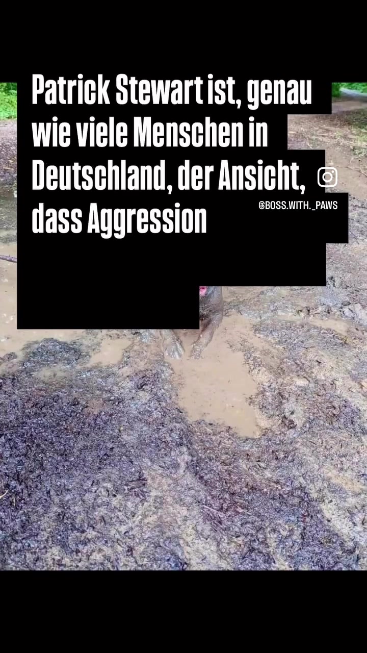 @MeinHundIstKeinVerbrecher