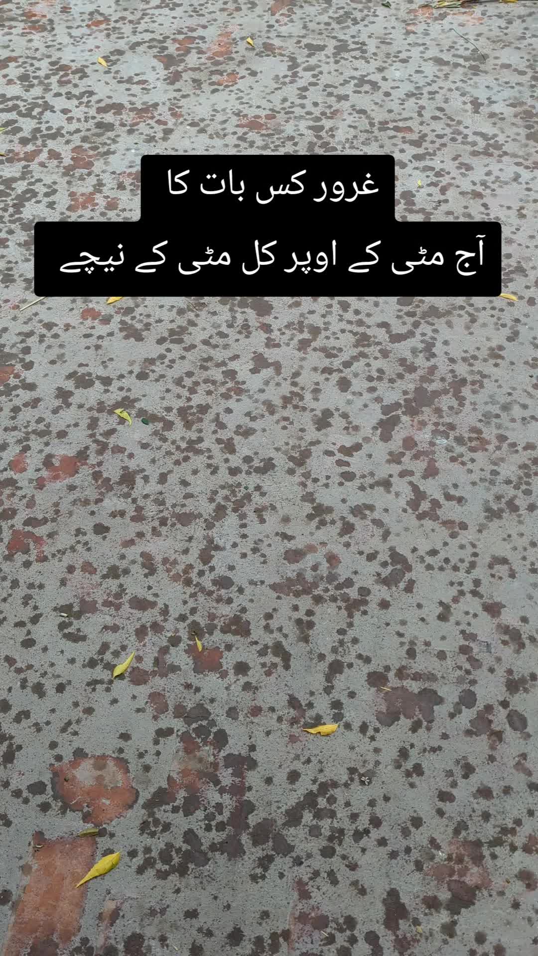 @★ دل کی تحریر ★