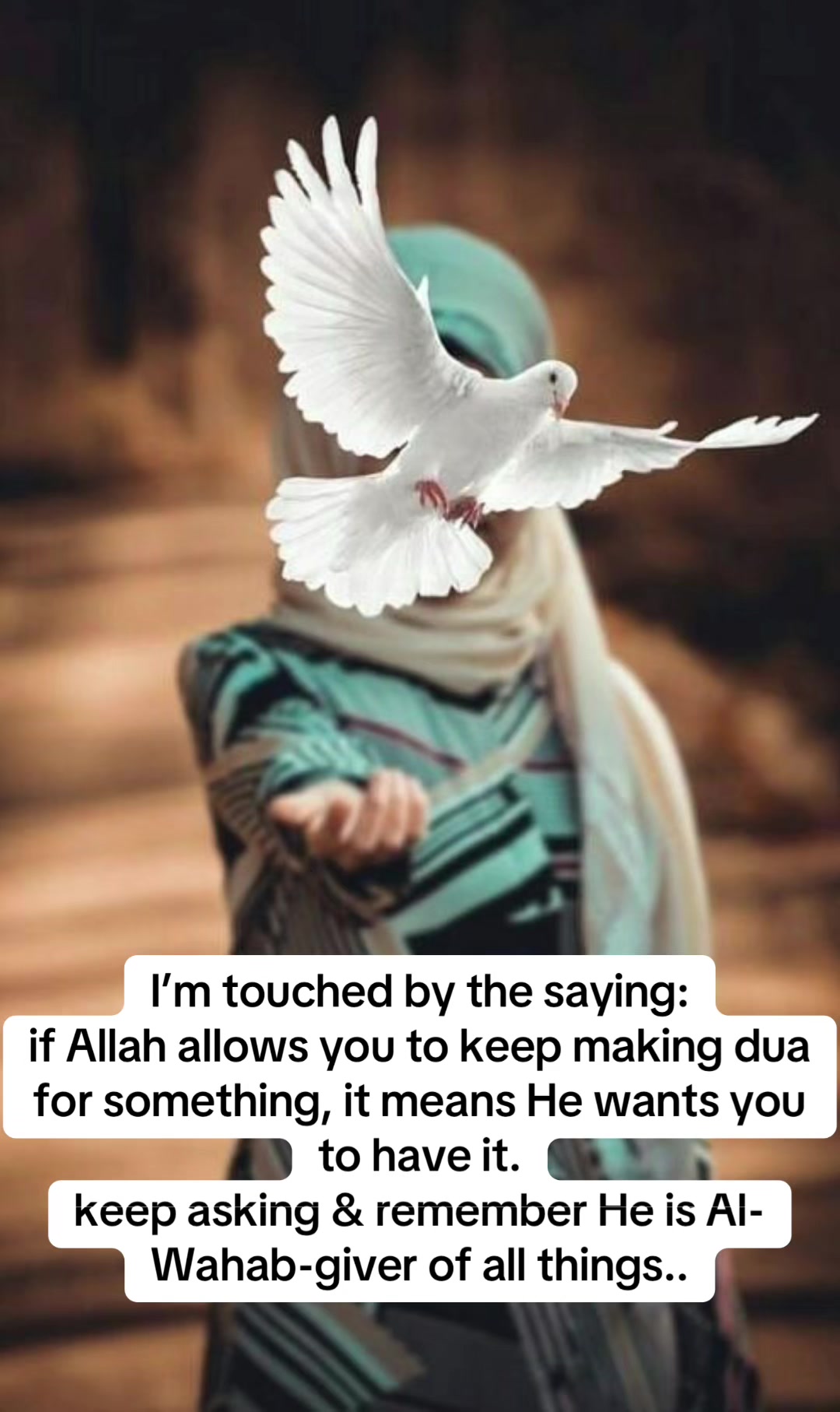 @𝓞𝓹𝓸𝓻𝓲𝓲𝓬𝓱𝓲𝓲𝓽𝓪𝓪𝓪