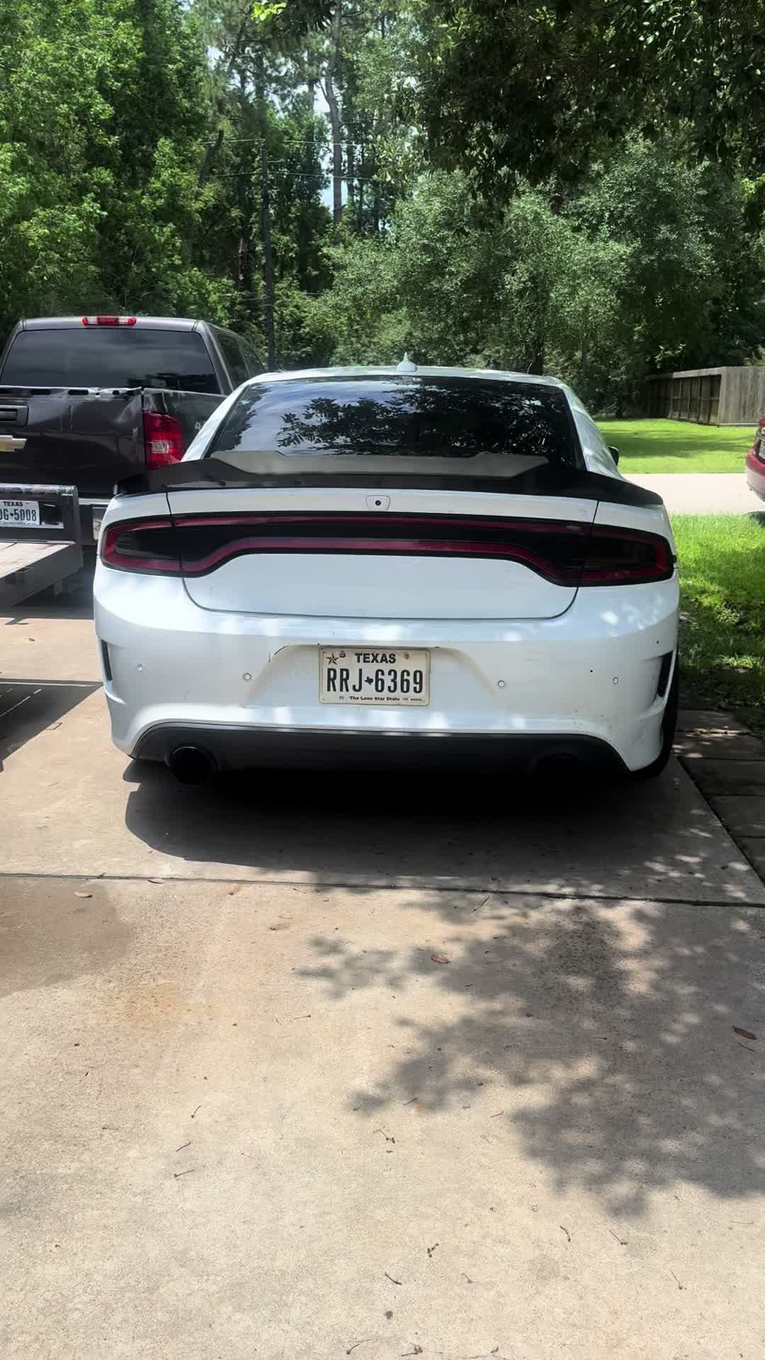 @Onefastscat