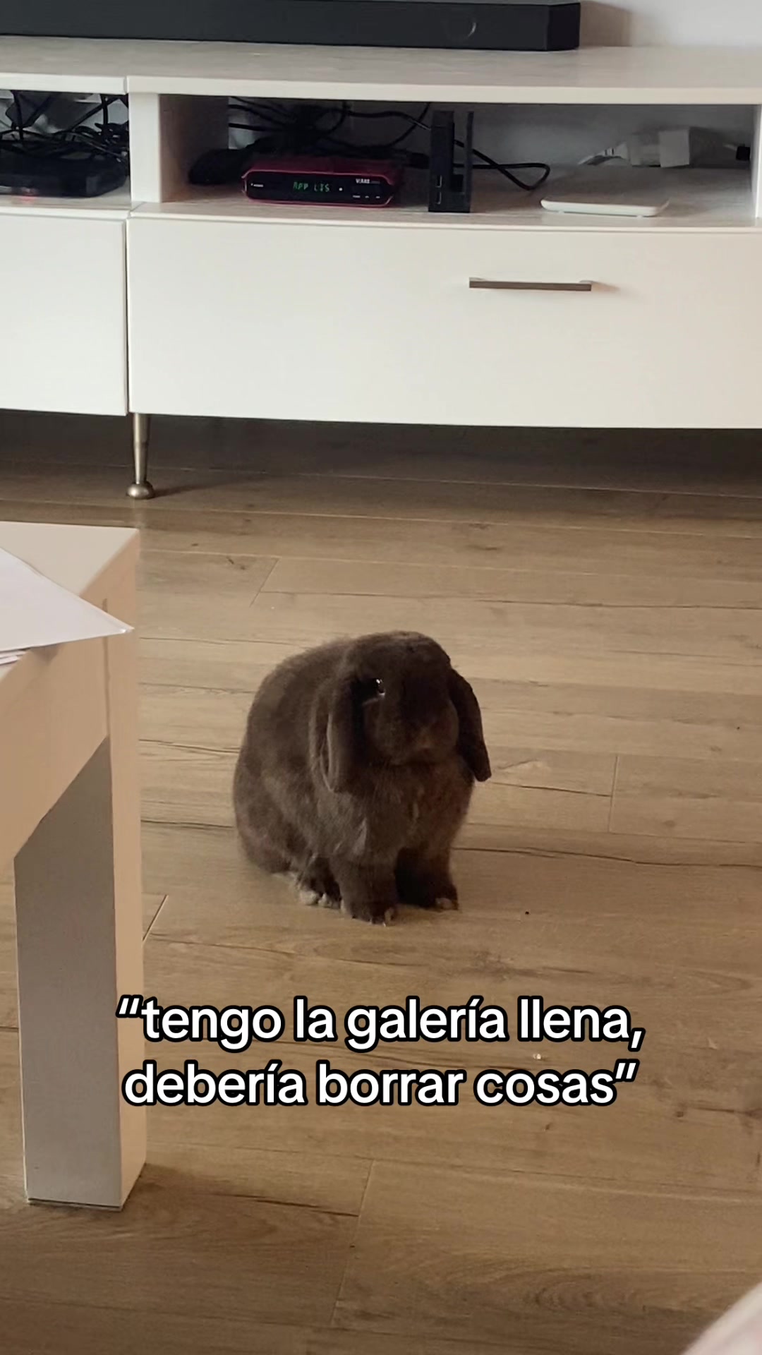 @llupss_