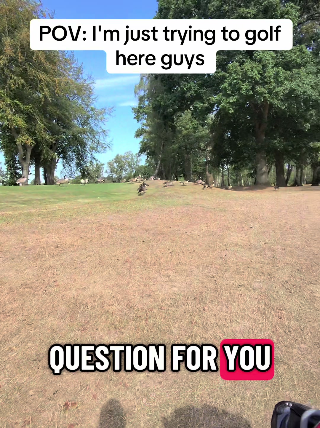 @GolfBite