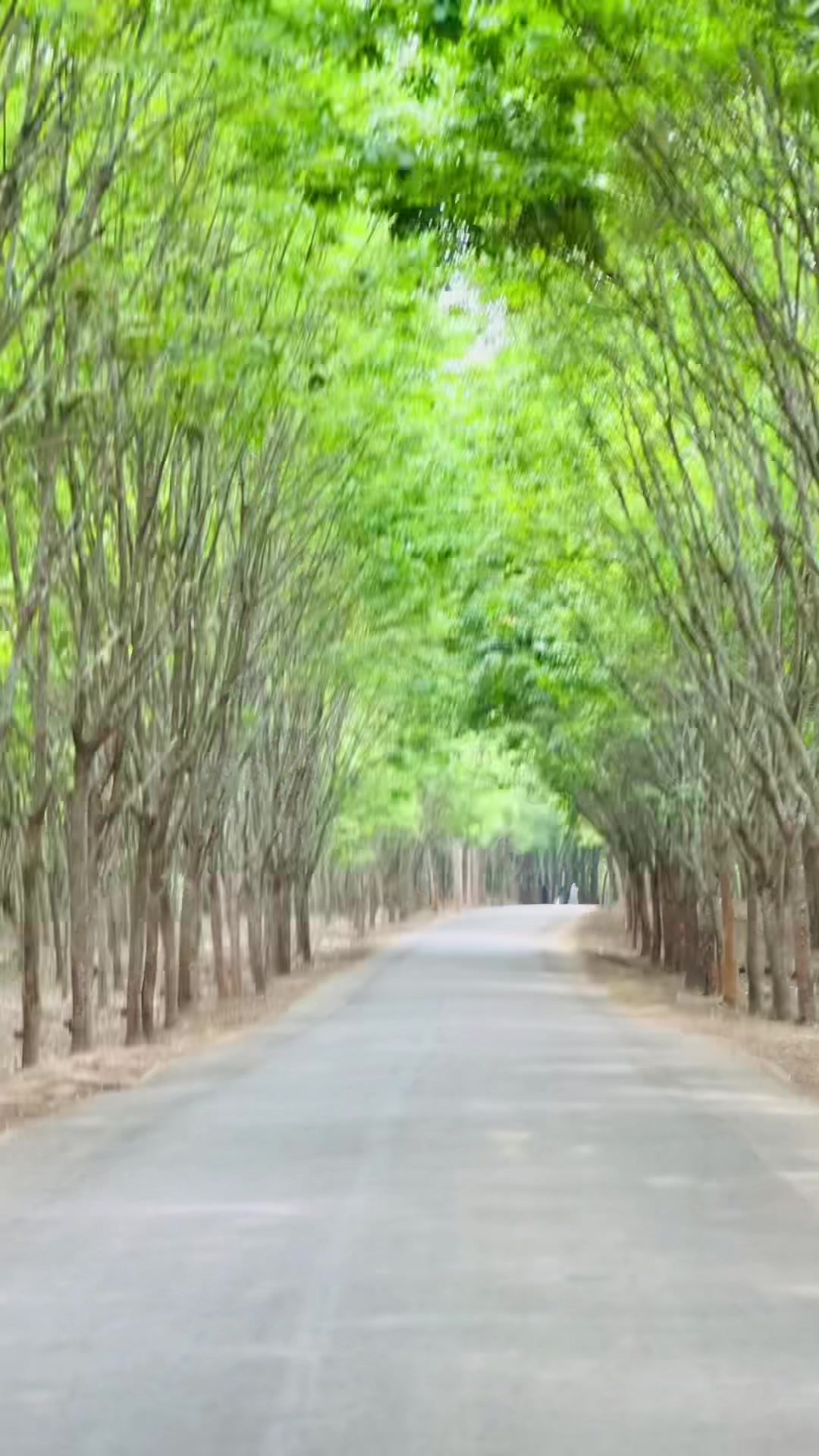 @rupakawsar3