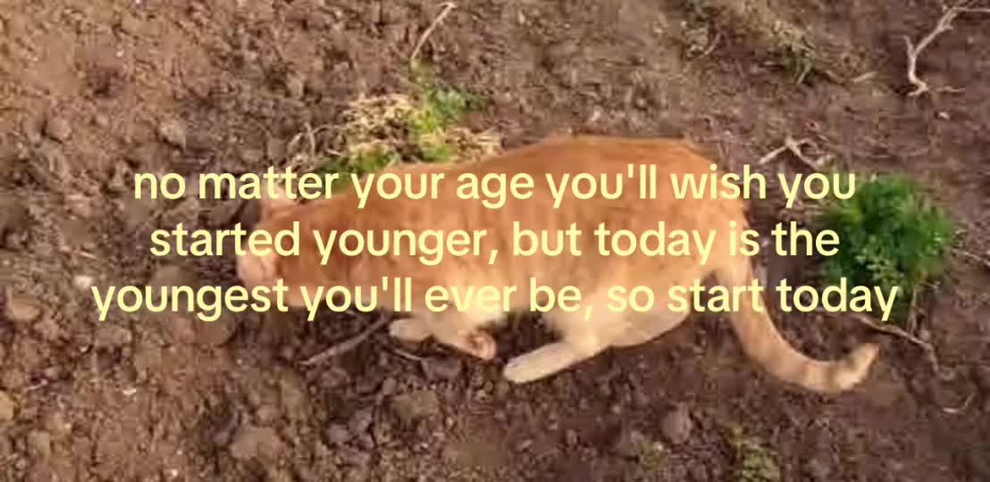 @️