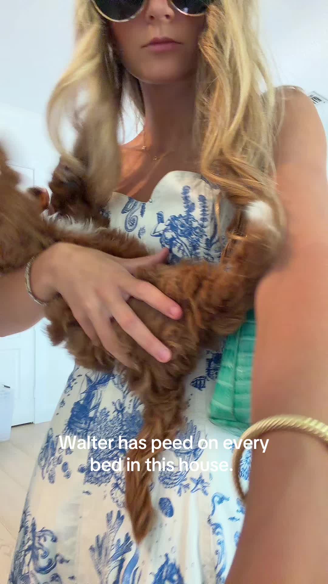 @annim