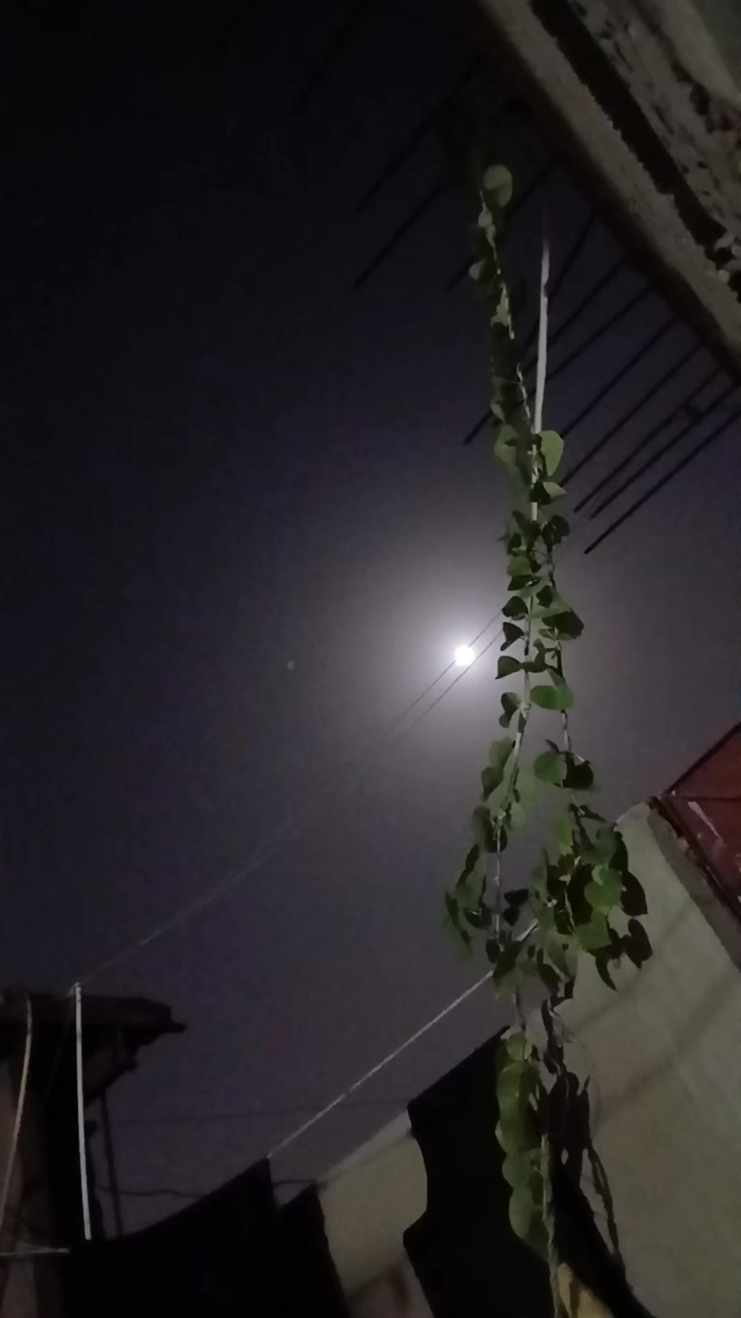 @Dk KHOKHAR 🇵🇰