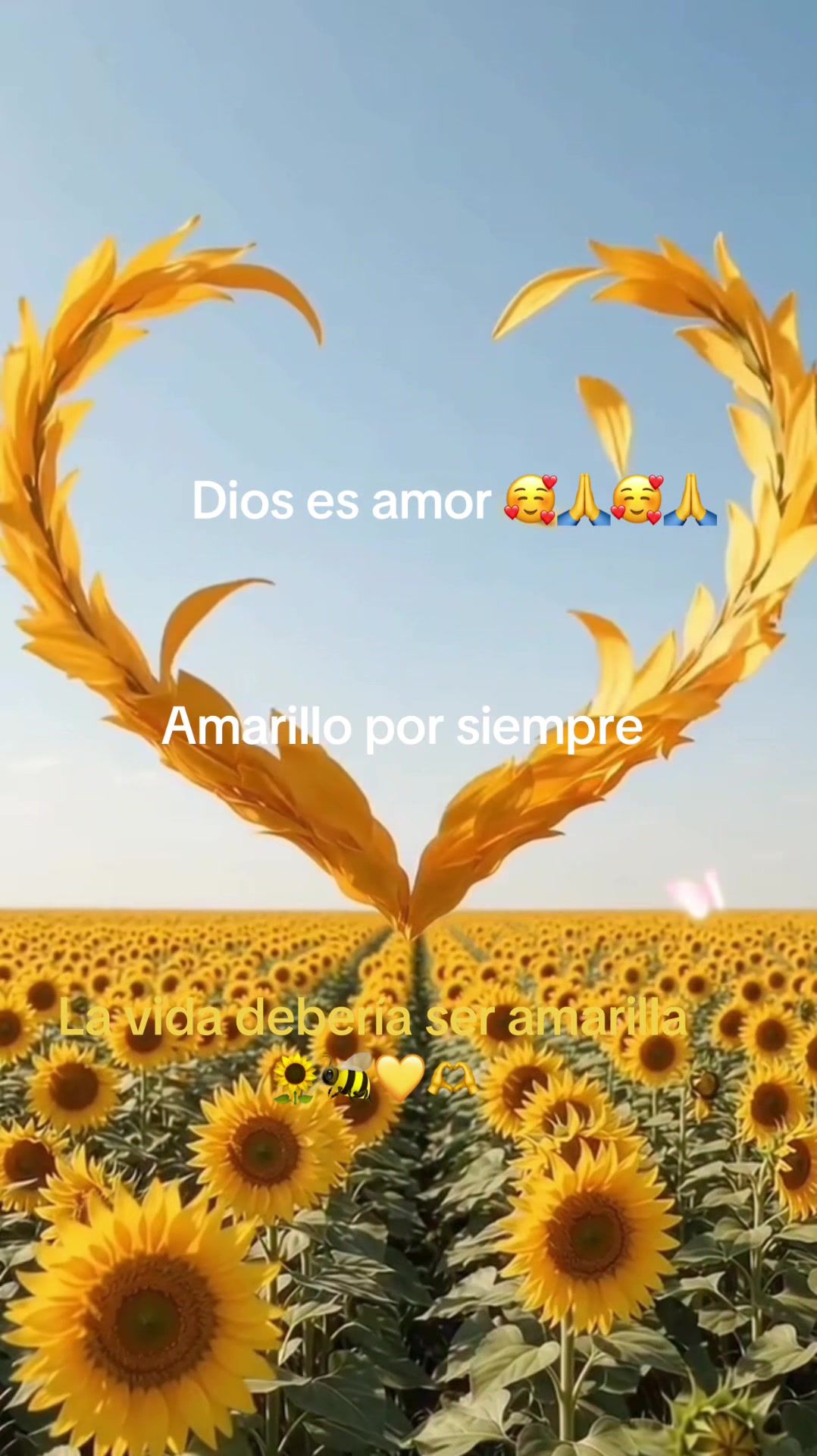 @CHELY🌻🐝🧩💙👻🐣🍌🪽