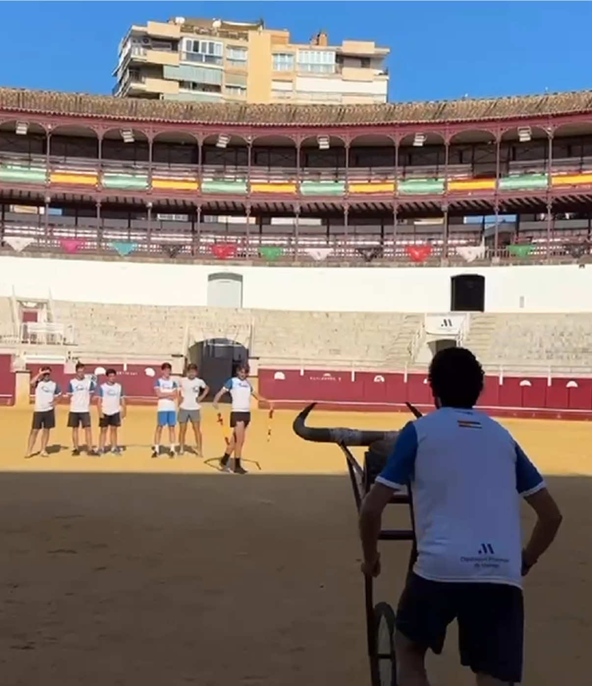 @Novilleros Andalucía
