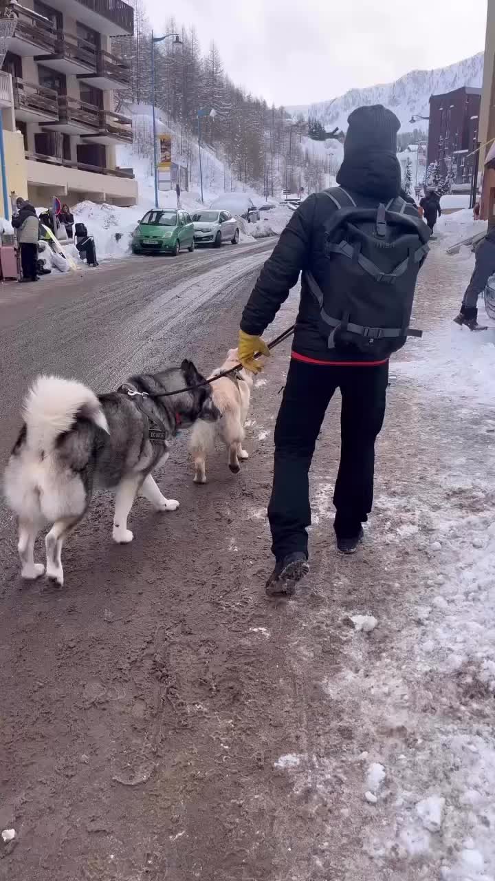 @Naia🐺 & Vénus