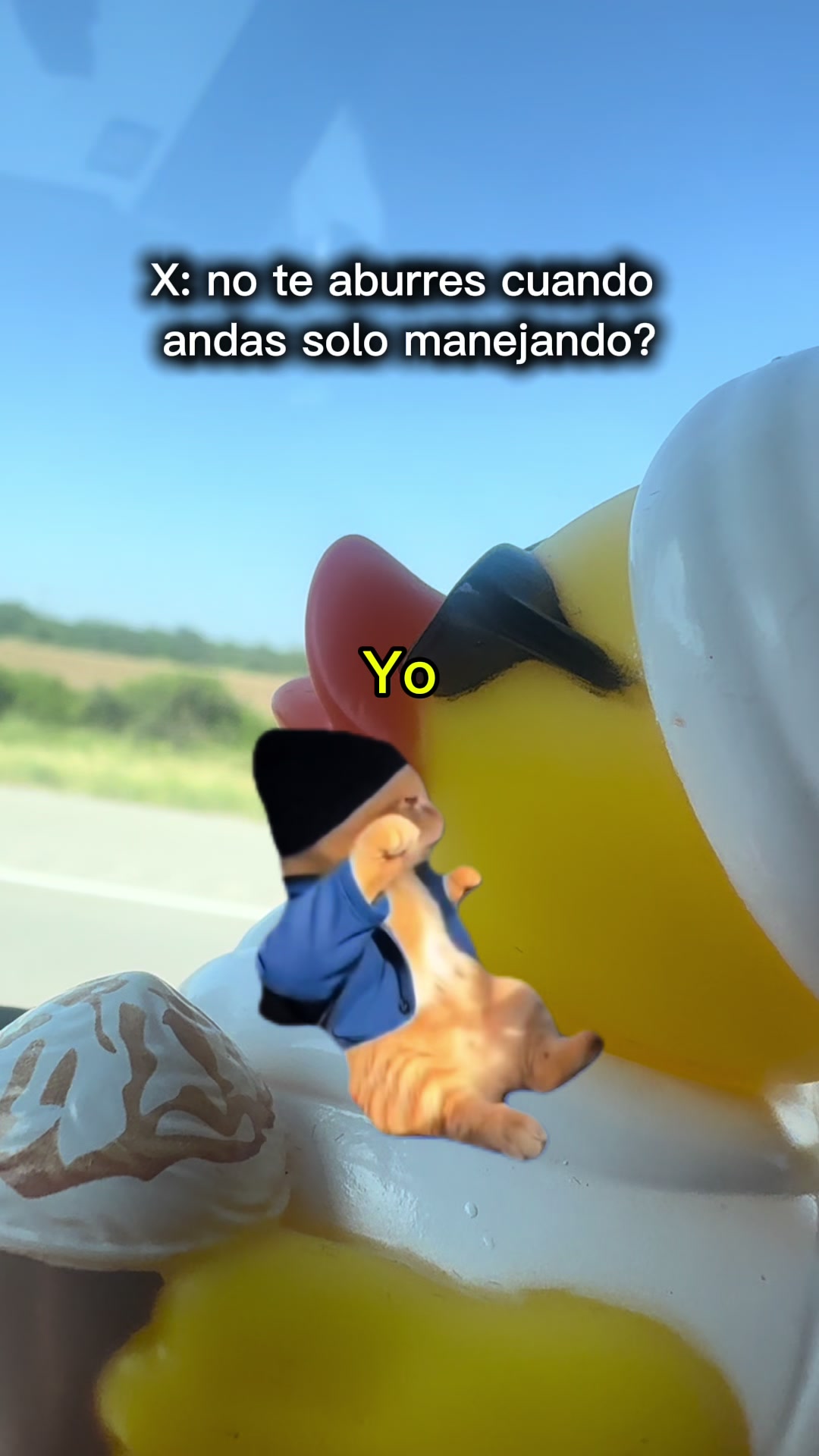 @ale.rises