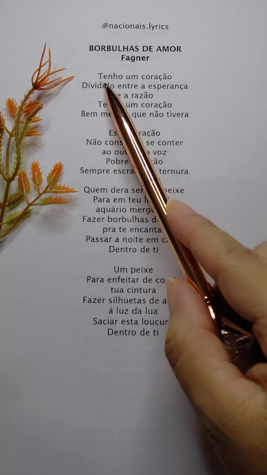 @nacionais lyrics