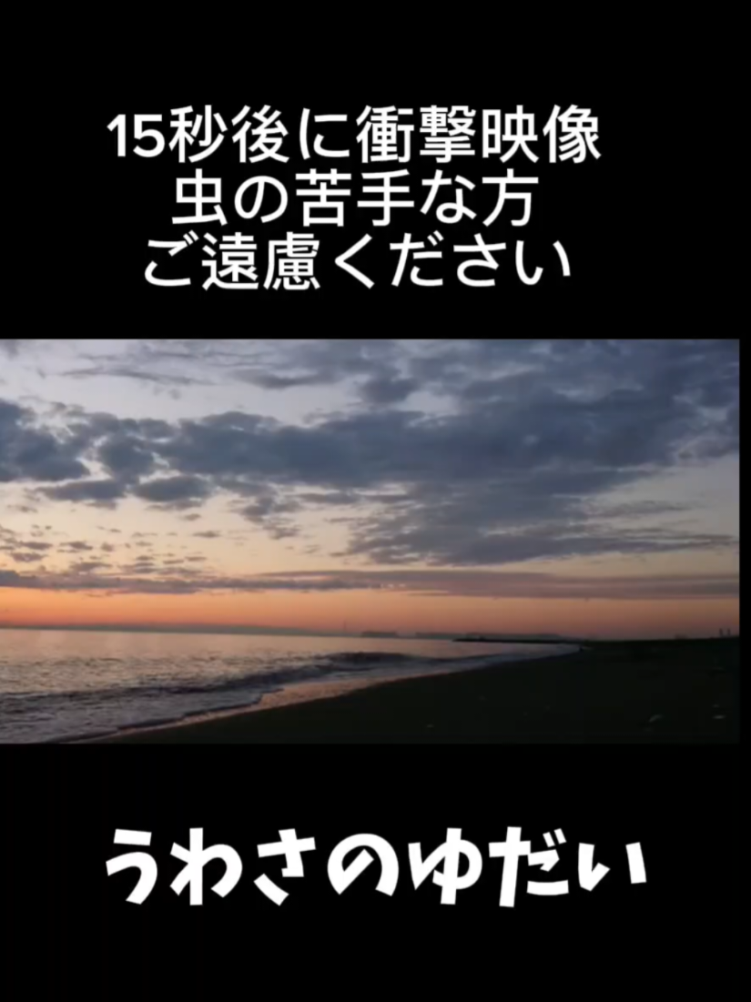@真希は覚醒中
