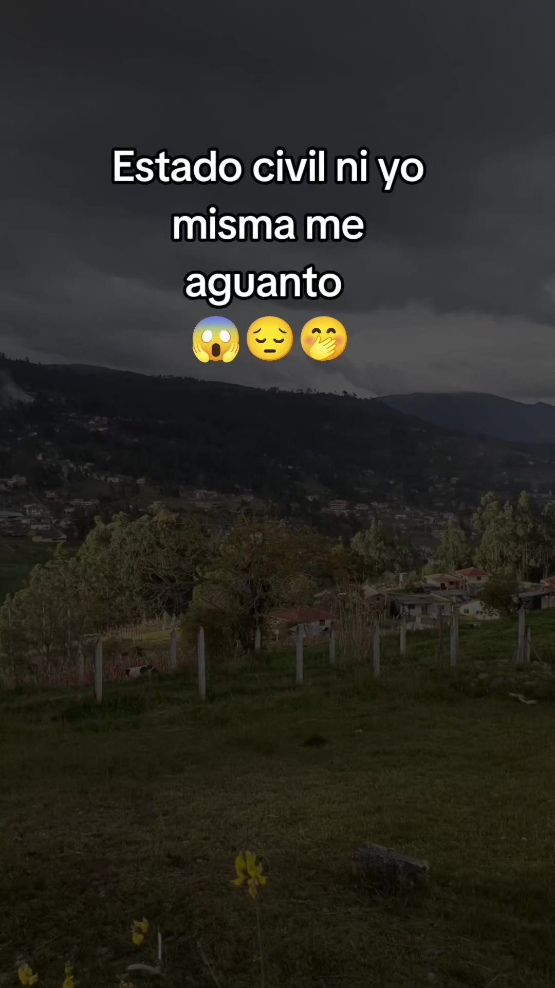 @Maryfernandez4719