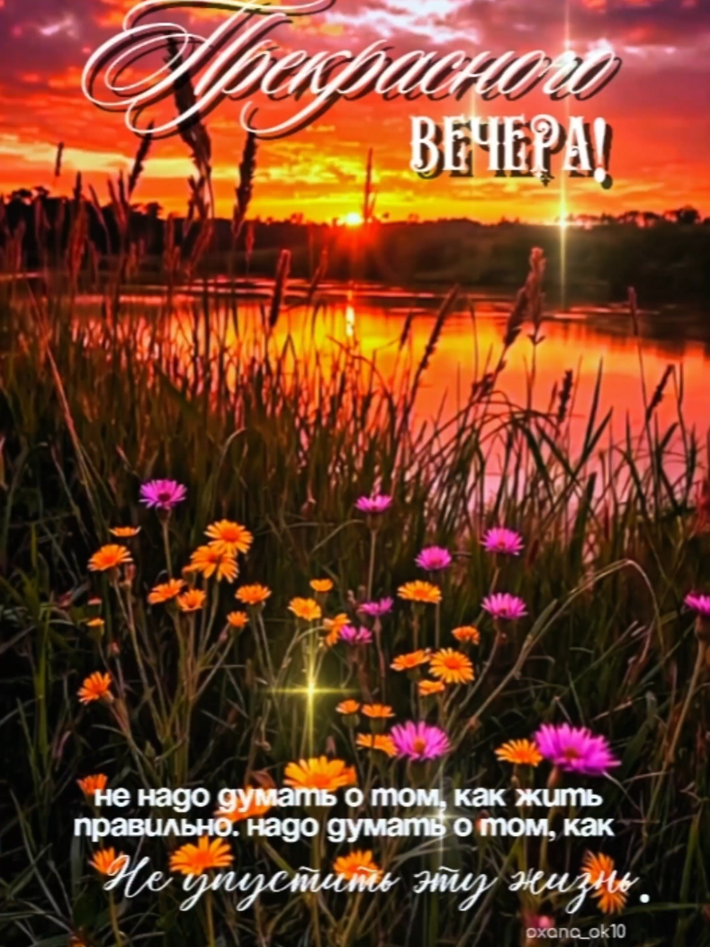 @❀︎ oxana_ok10 ❀︎