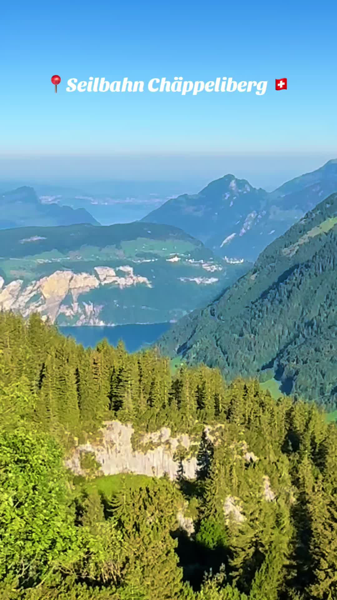 @swiss_alps