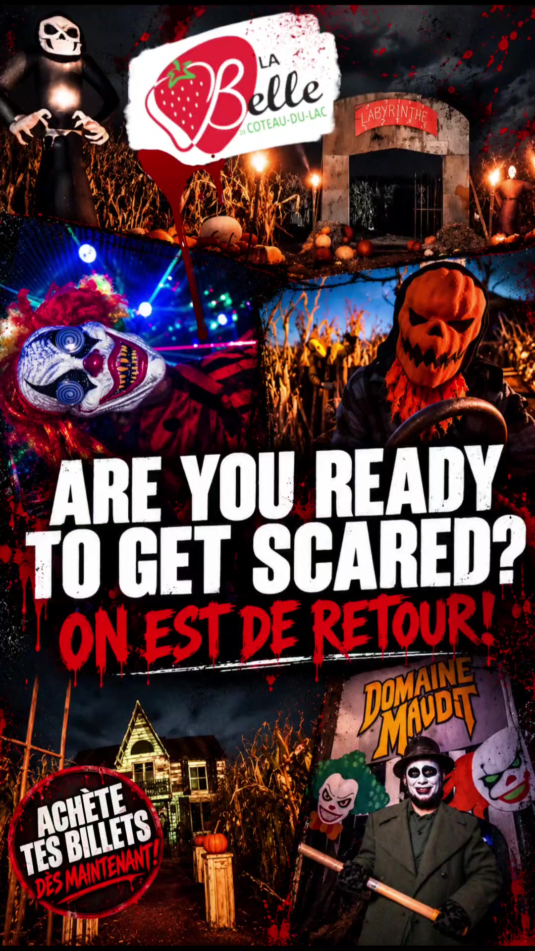 @Insieme_montreal