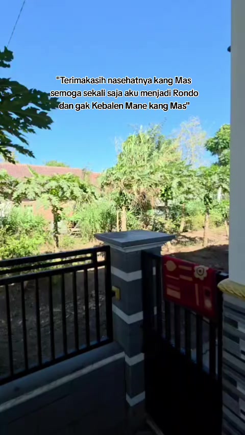 @🦖 vᧉ᩠֗ᧉ᩠֗ dִׂׂׂ݂݂αׂׅׅ🐢