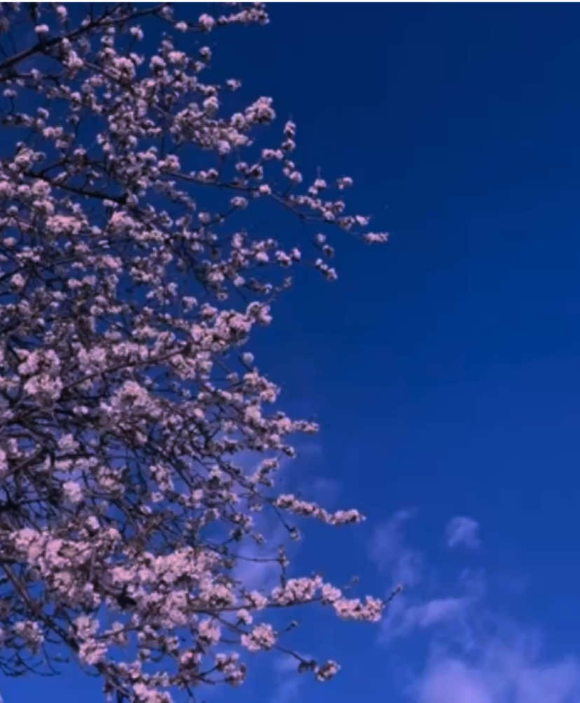 @𝑀⋆‧𐙚