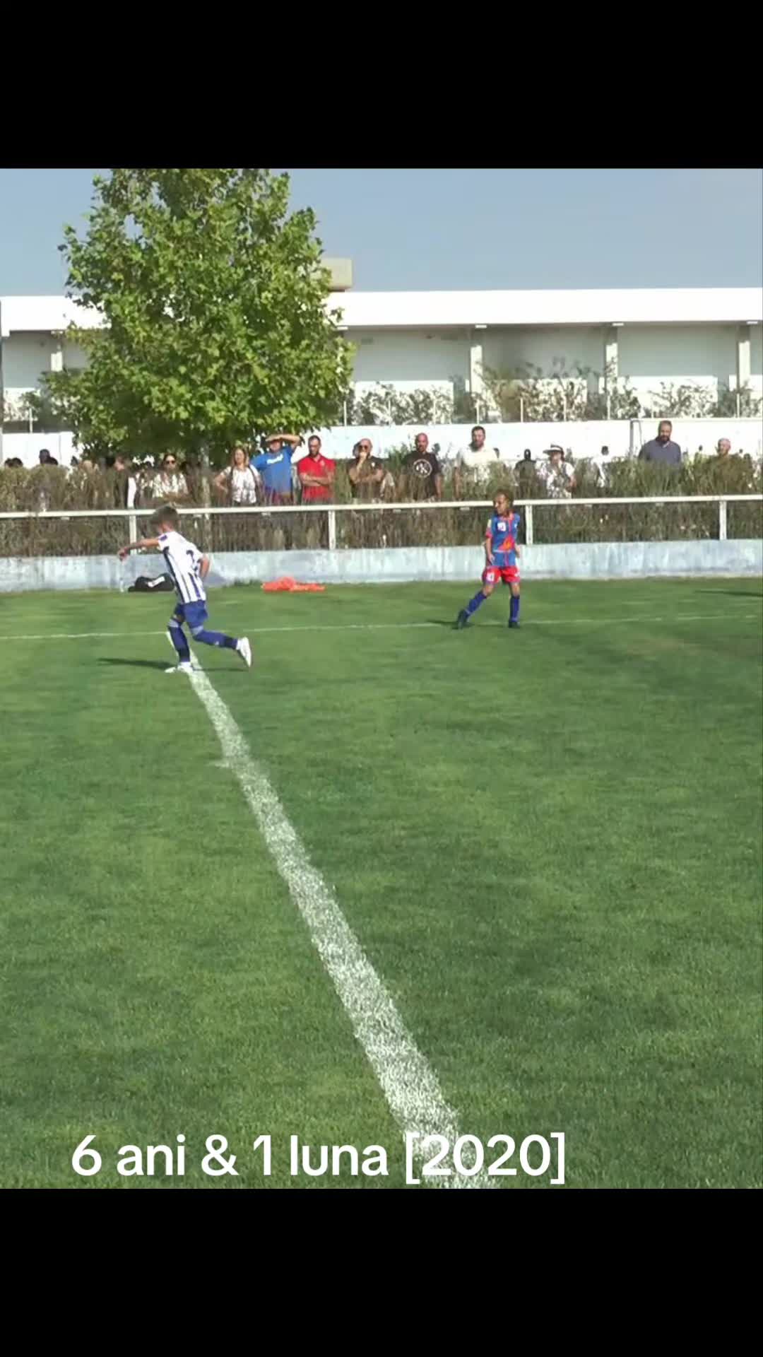 @Zian Leuţul Sudului
