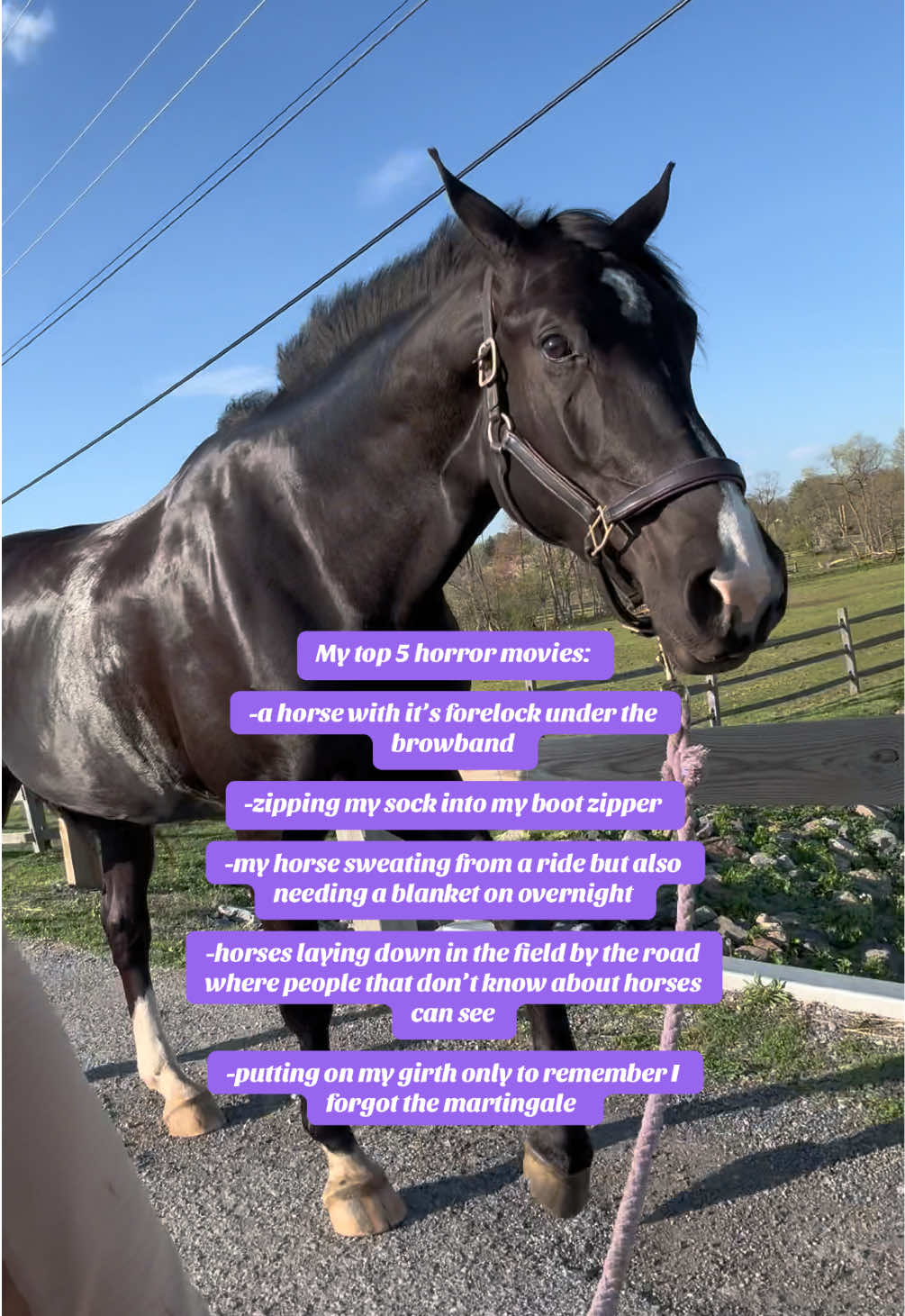 @Maria |🦄 Mom