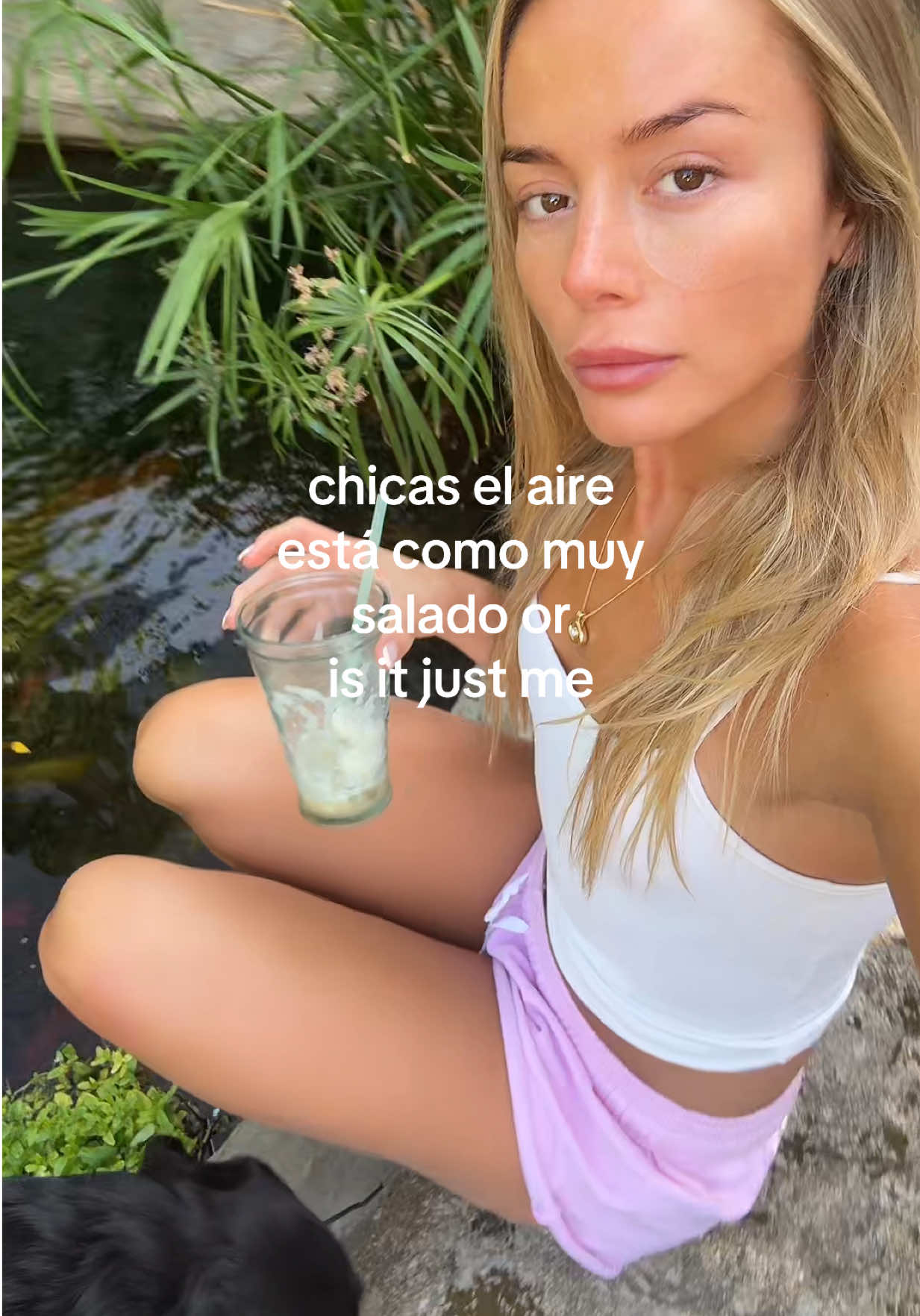 @sofilechat