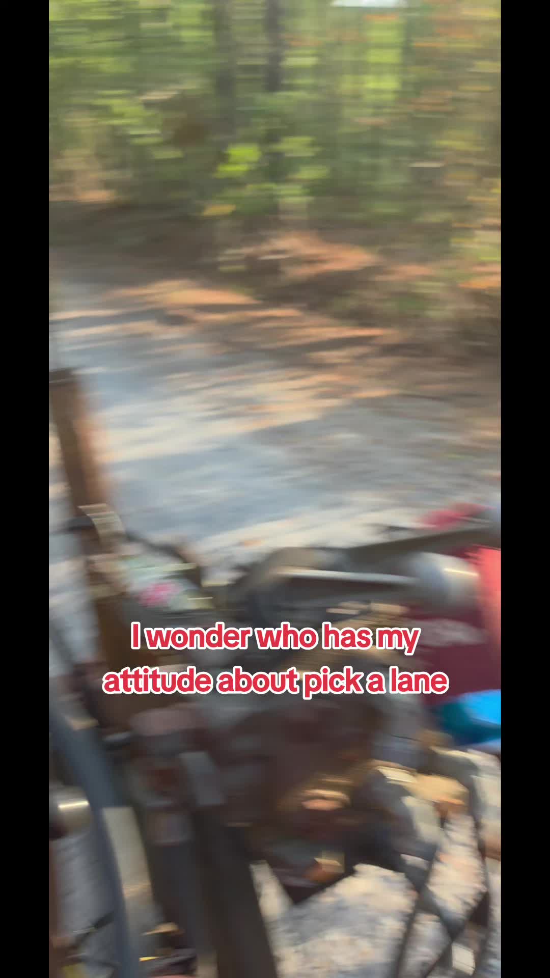 @Chase and Shelby and Liberty