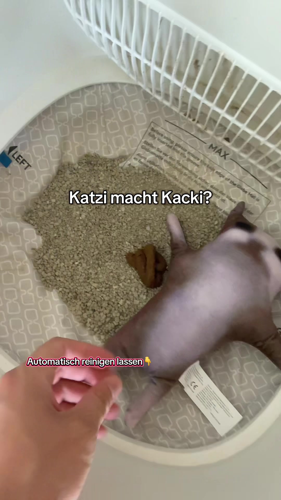 @SamTimes 🇩🇪