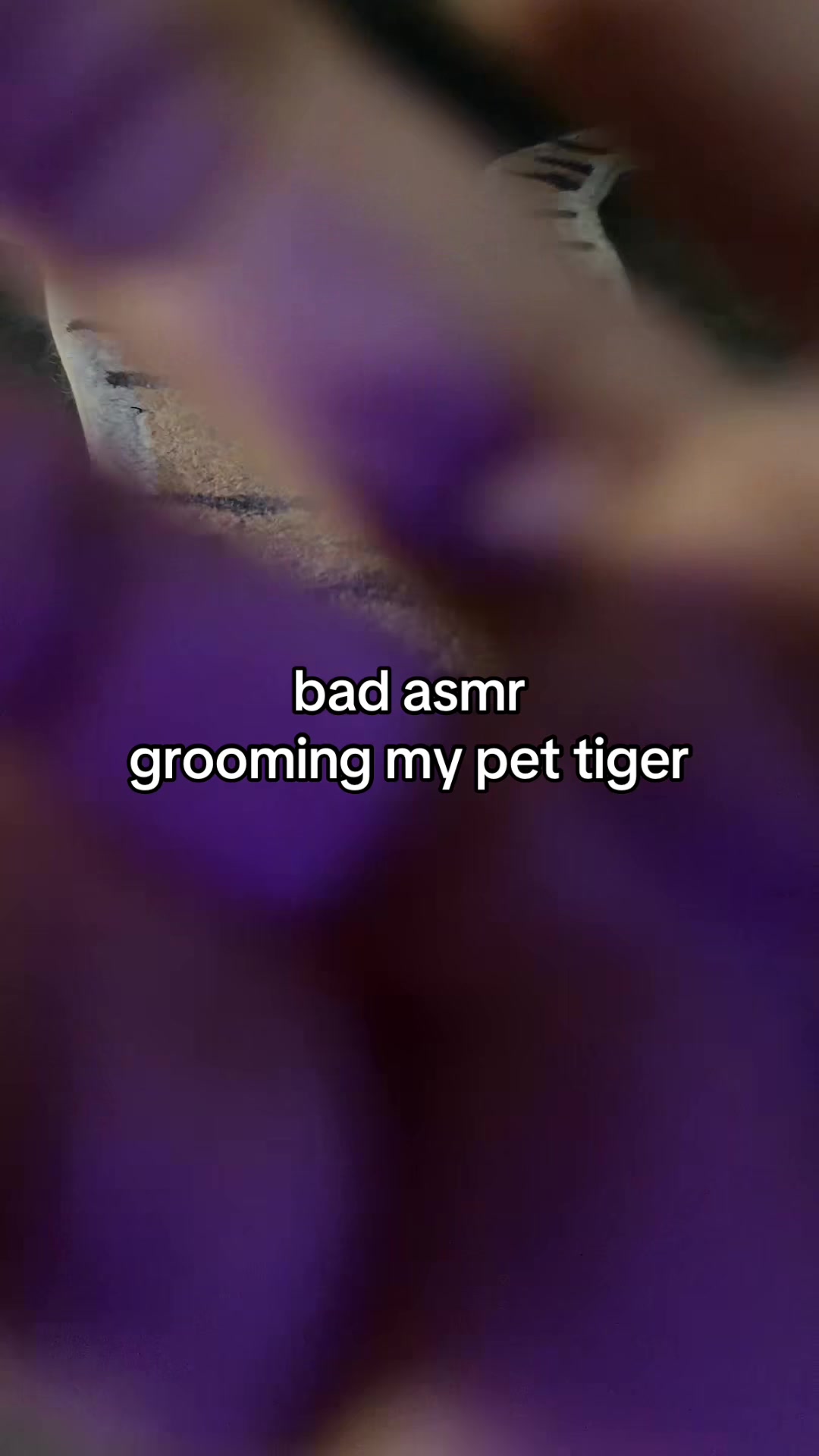 @frog’s asmr 🐸🎧