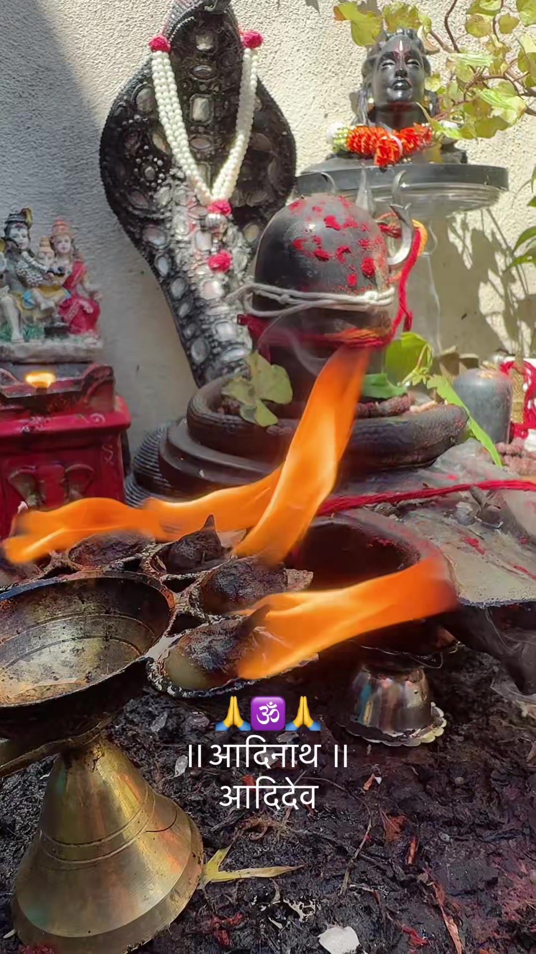 @ਵਲੈਤੀ ਪੰਜਾਬਣ sukh/ਸੁਖ
