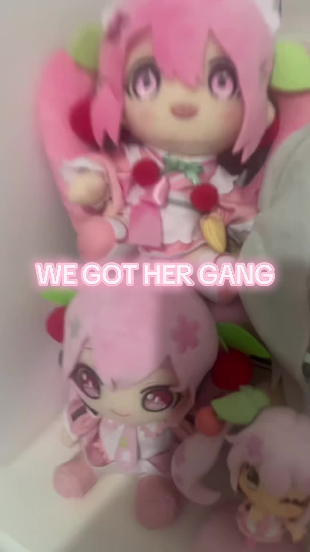 @Hon ୨୧