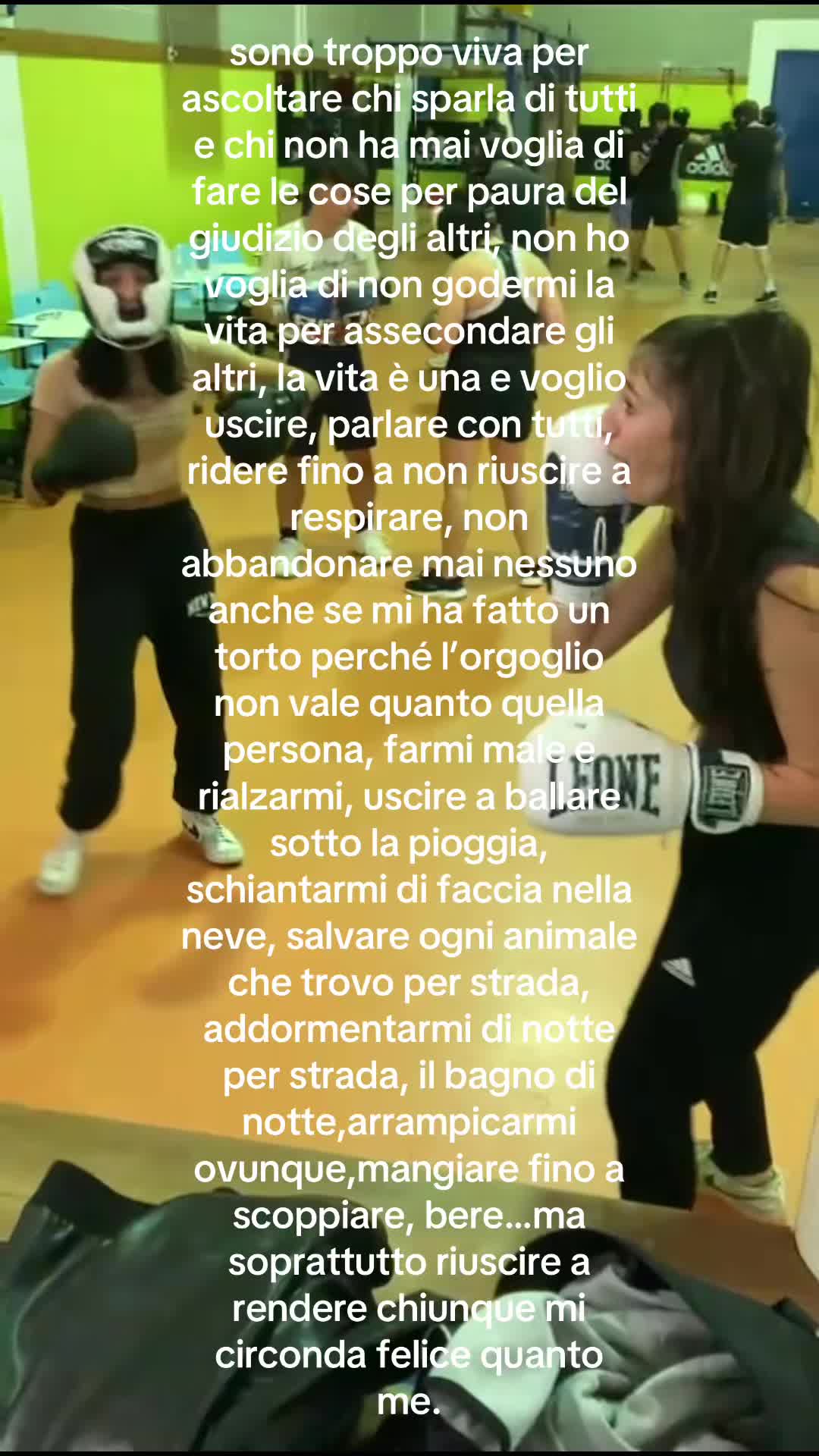 @ninuz🐾