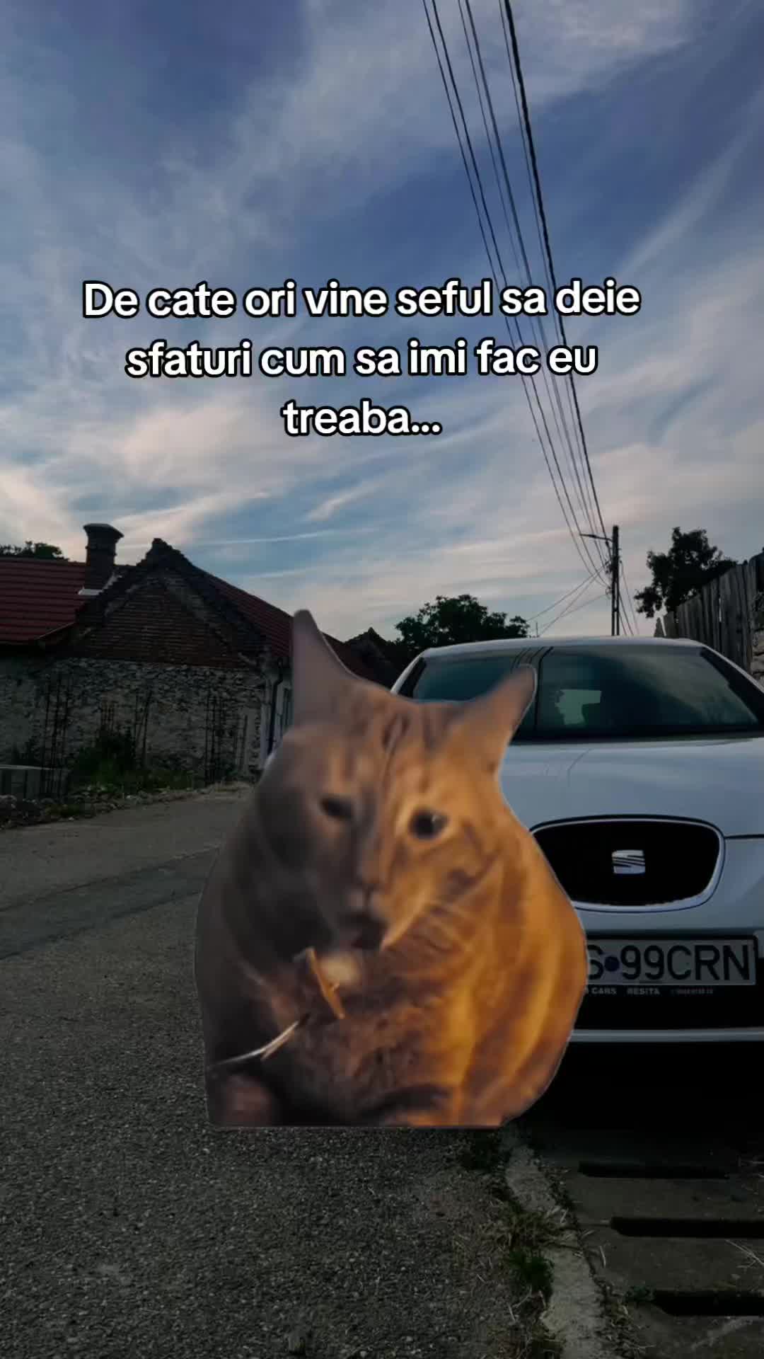 @Robert Cretu