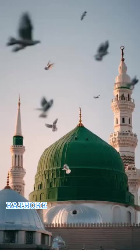 @Mohammad Zaheer Attari