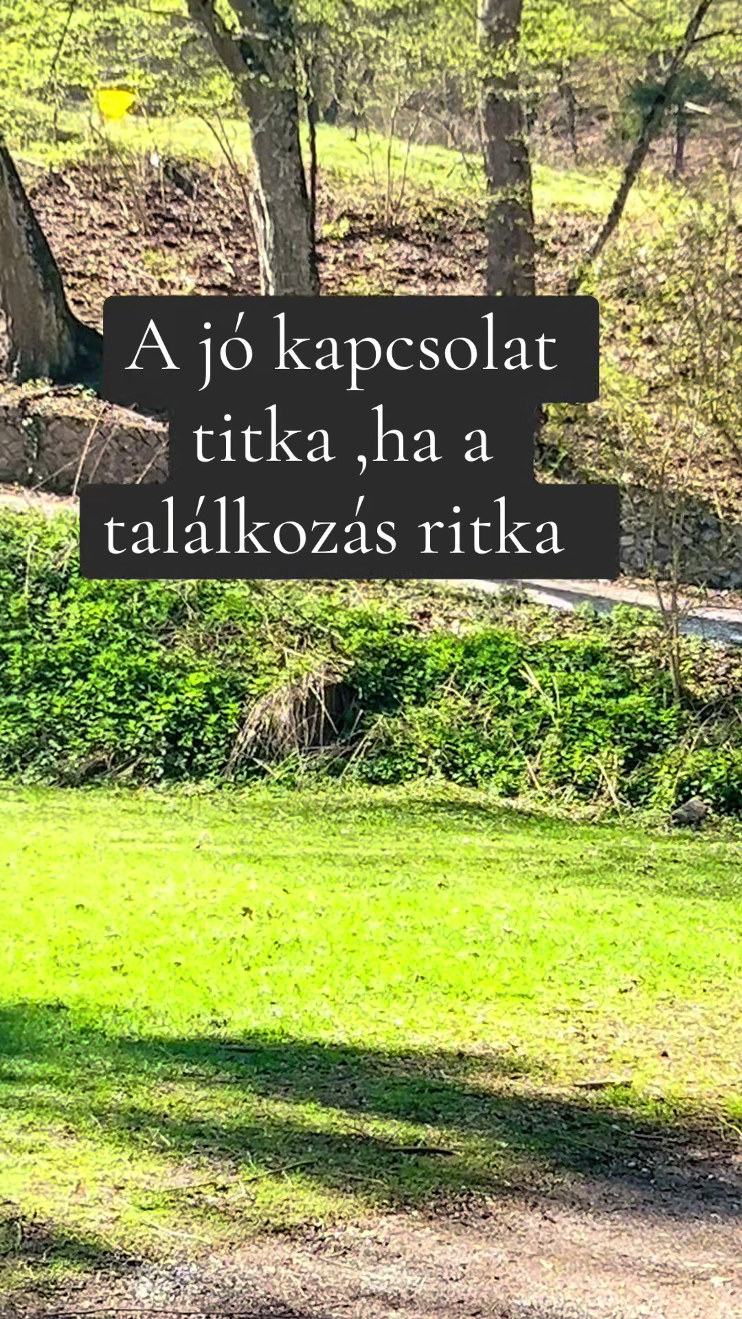 @Nem harap 🅰️ néni 🪷