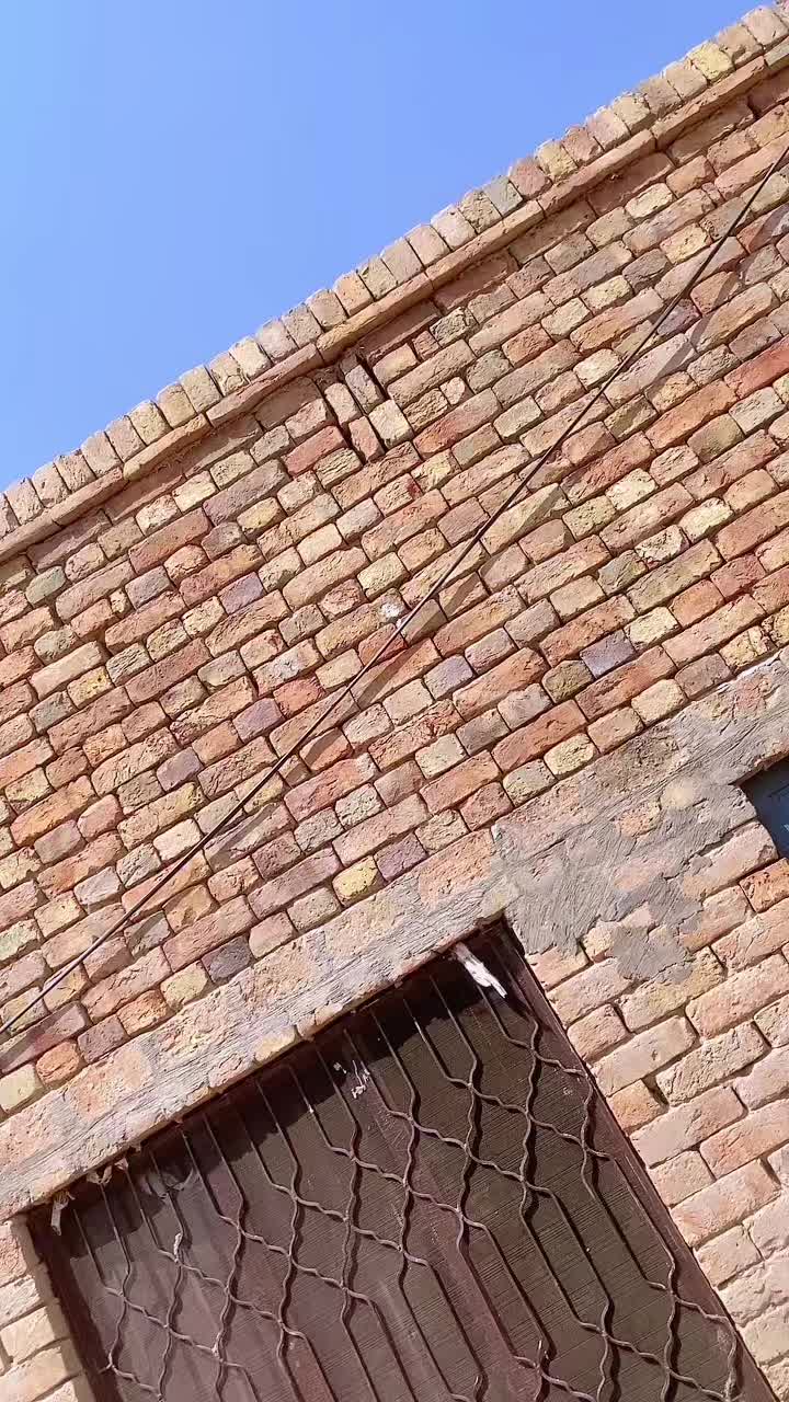 @Shehzadi Butt