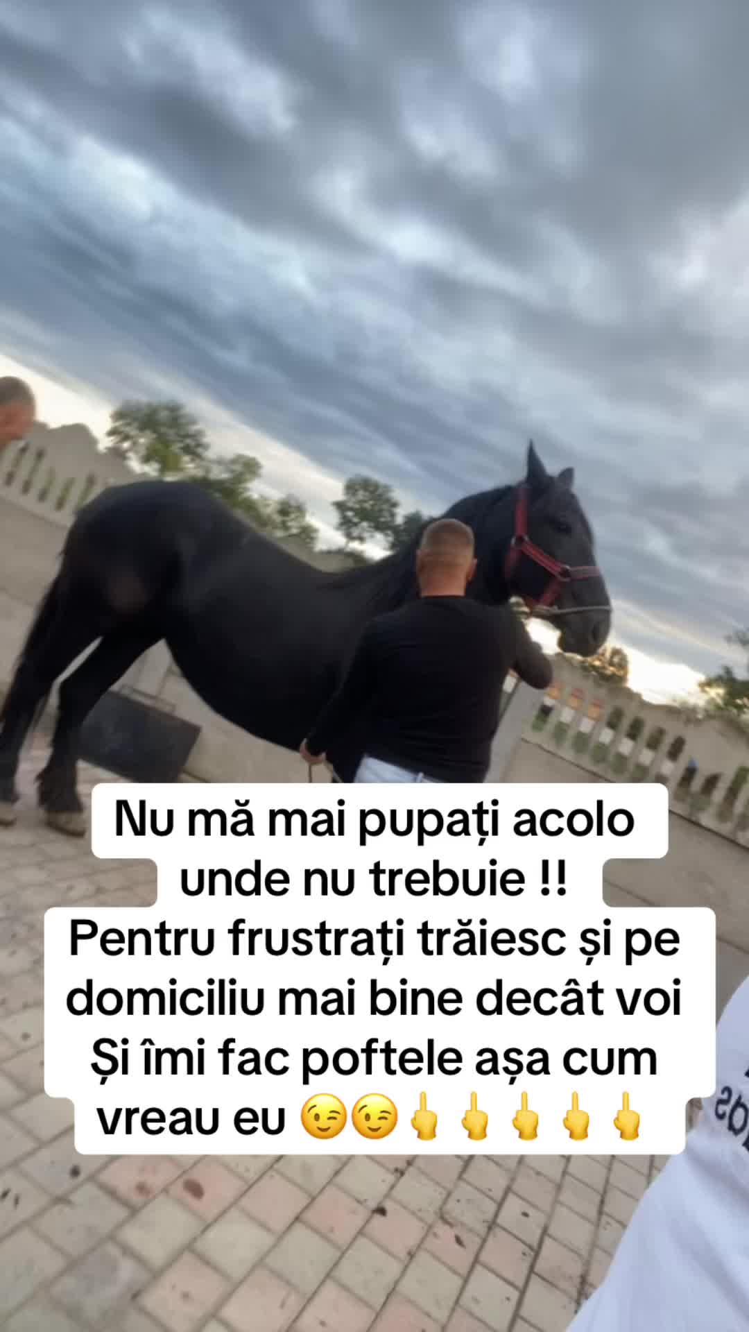 @Vlase179