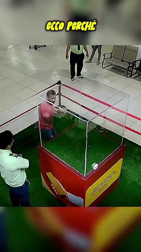 @Albu Alberto