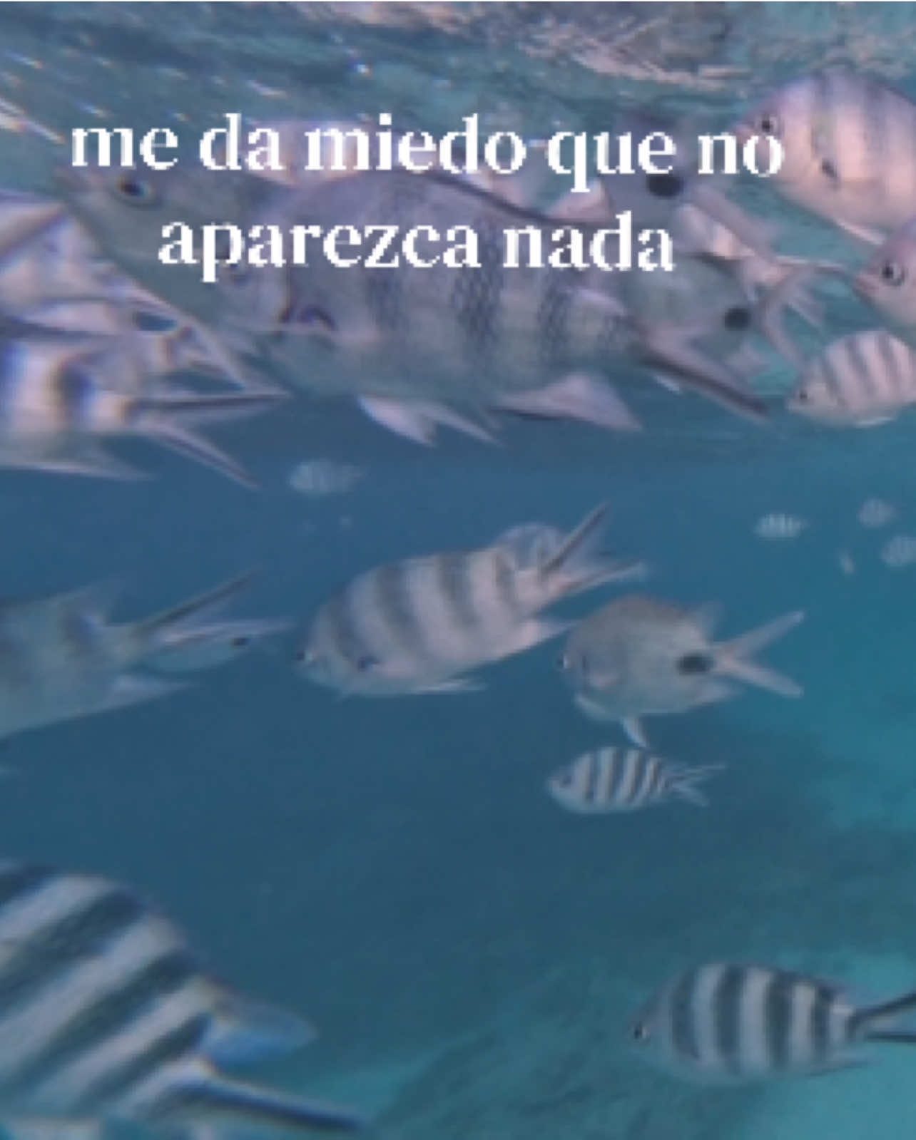 @irene_olmedilla