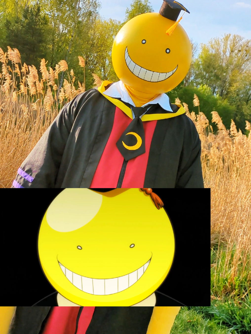 @Korosensei.cos