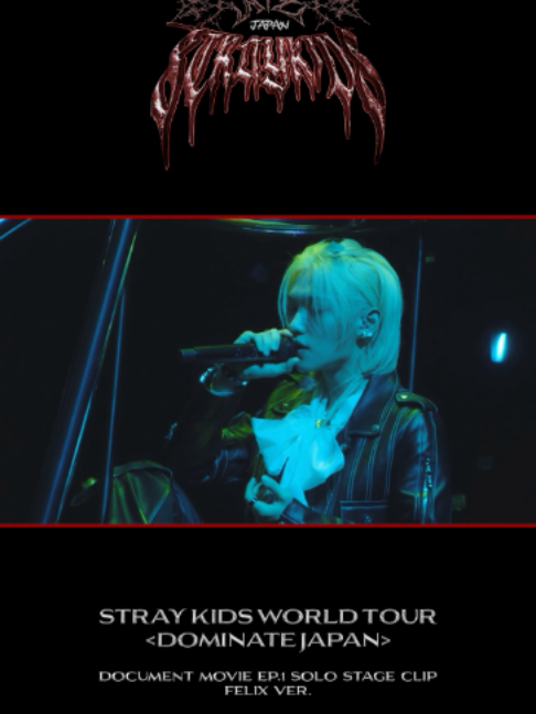 @straykids_japan