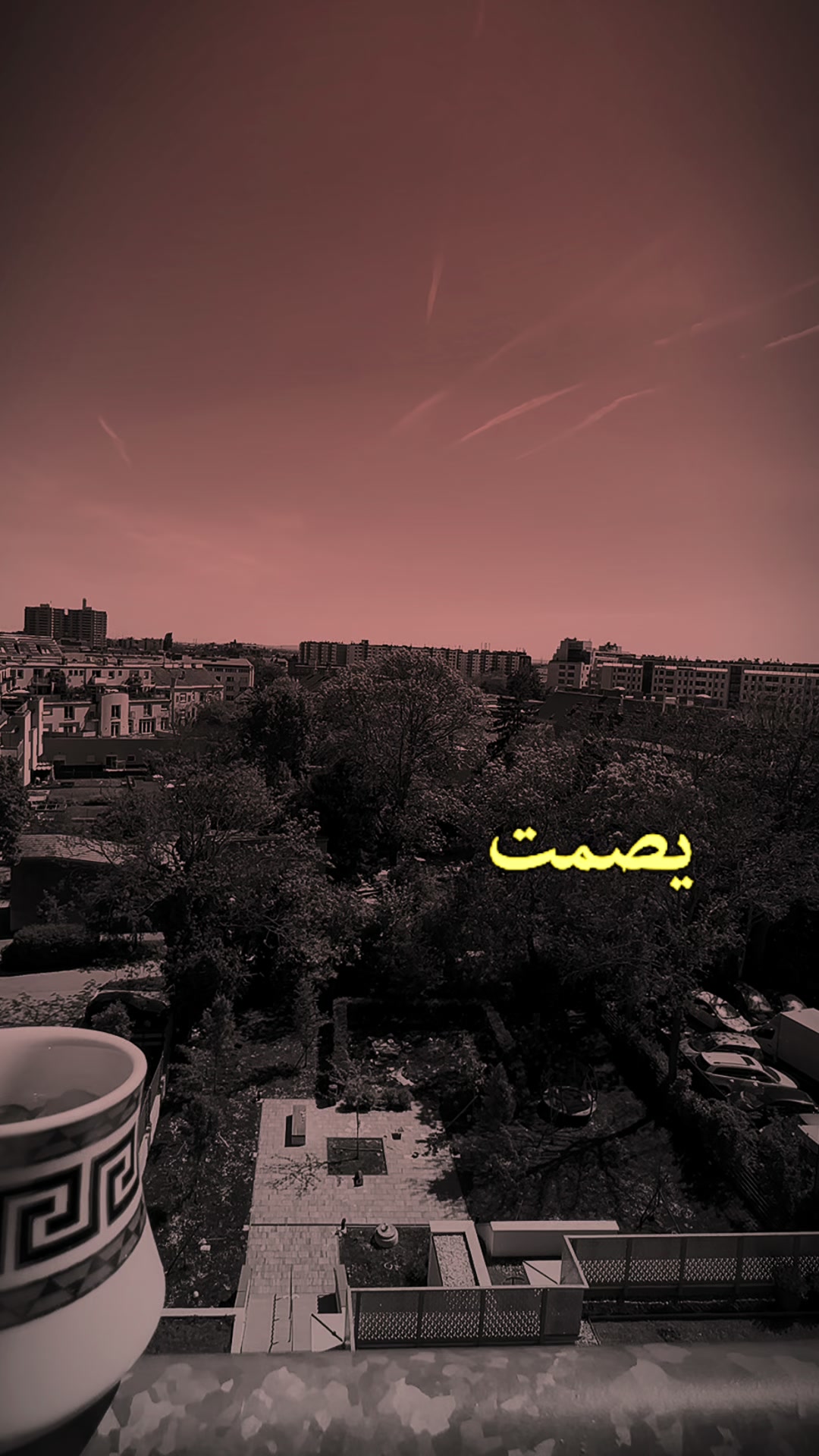 @Noor Aljbawi