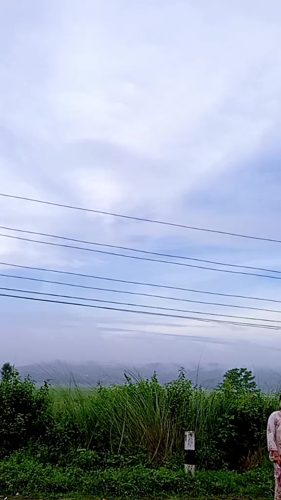 @Kamala Darlami