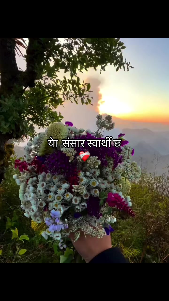 @Samrat belbase