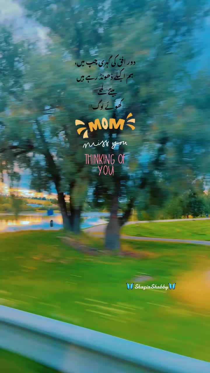 @Shaby♥️✨سیپ
