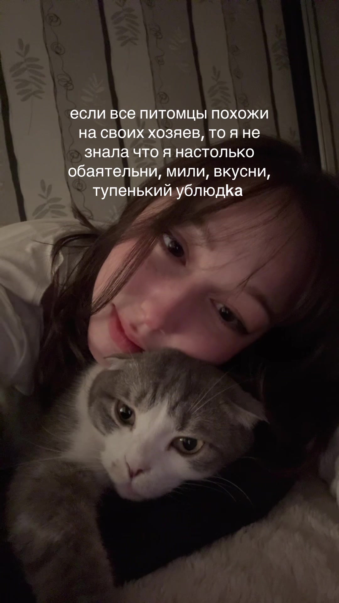 @Akichi