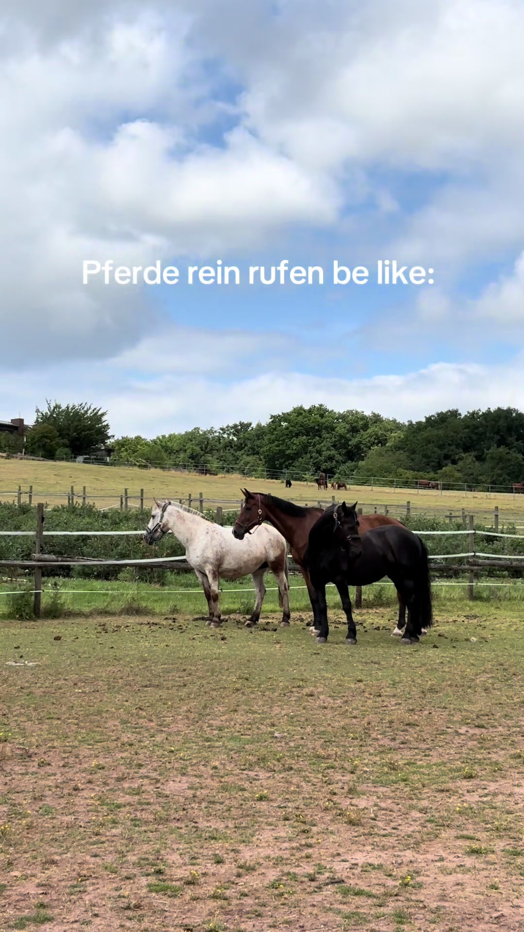 @Kinderreitenfulda
